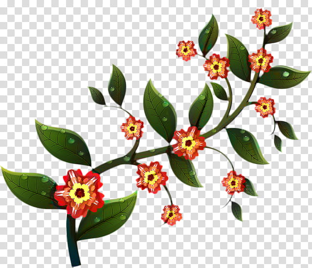 Dogwood Tree, Flower, Branch, Leaf, Flowering Dogwood, Plant Stem, Drawing, Floral Design transparent background PNG clipart