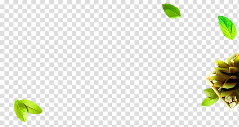 Green Leaf, Petal, Plant Stem, Branch, Bud, Computer, Plants, Yellow transparent background PNG clipart Green Leaf, Petal, Plant Stem, Branch, Bud, Computer, Plants, Yellow transparent background PNG clipart