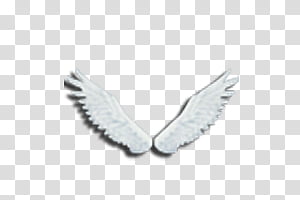 Alas, pair of white wings Tag: round silver-colored Rolex analog watch transparent background PNG clipart thumbnail