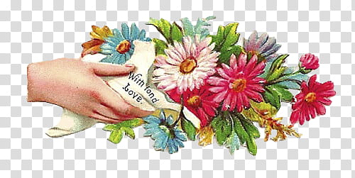 Hands and Flowers s, hand holding pink daisy bouquet transparent background PNG clipart