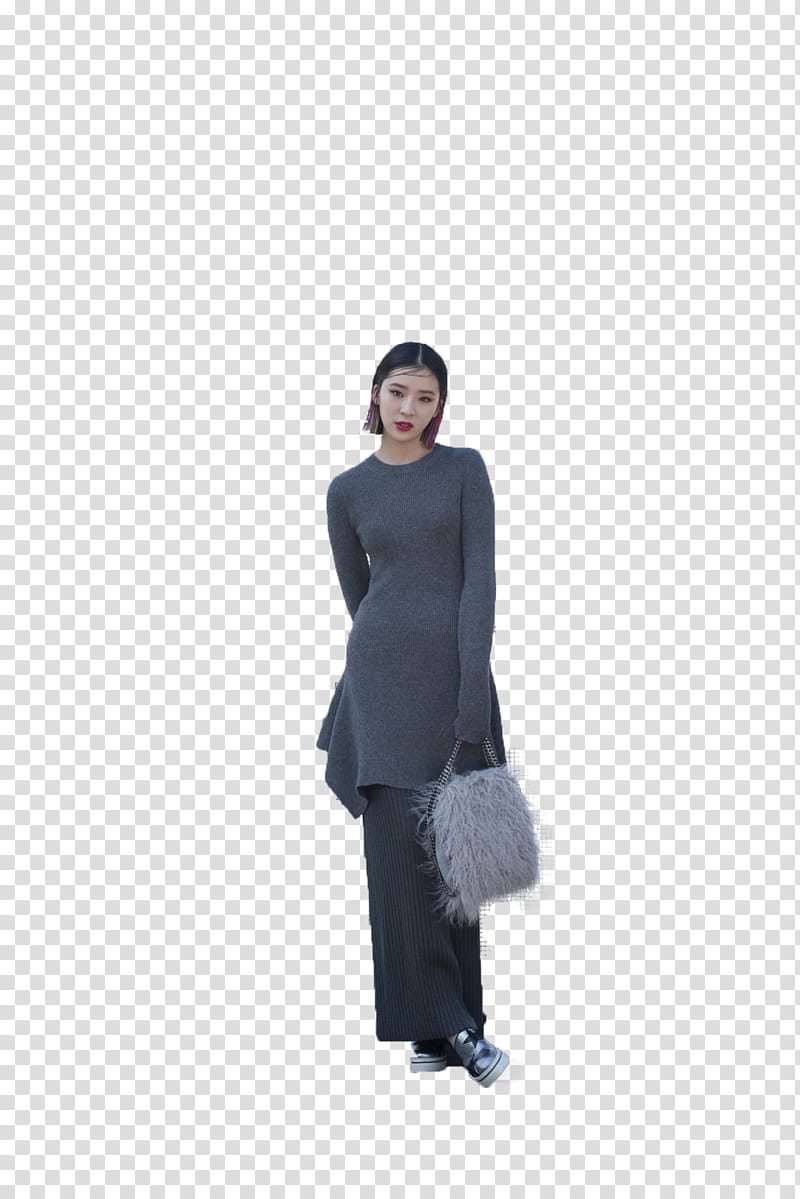 render Irene Kim x Stella McCartney transparent background PNG clipart