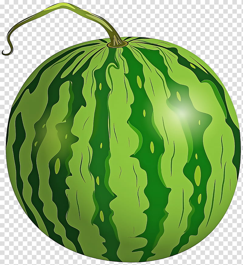 Watermelon, Green, Citrullus, Cucumber Gourd And Melon Family, Fruit, Plant, Leaf, Vegetable transparent background PNG clipart