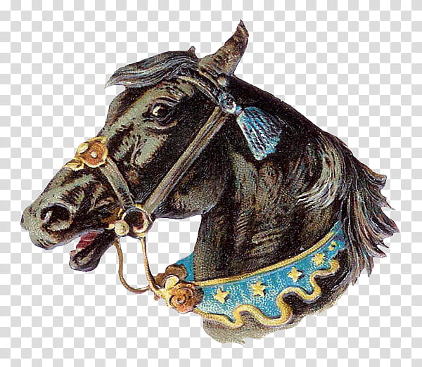 Horses s, black horse transparent background PNG clipart