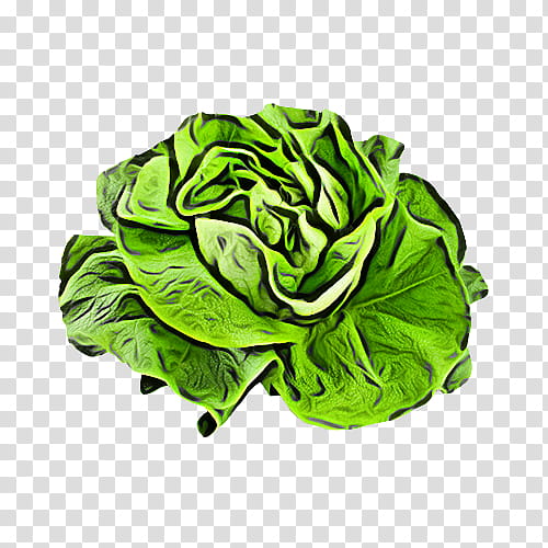 green leaf cabbage leaf vegetable lettuce, Plant, Flower, Wild Cabbage, Romaine Lettuce transparent background PNG clipart