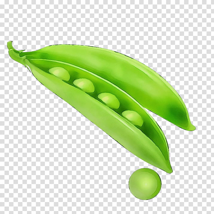 green pea legume snow peas snap pea, Watercolor, Paint, Wet Ink, Plant, Leaf, Vegetable, Legume Family transparent background PNG clipart