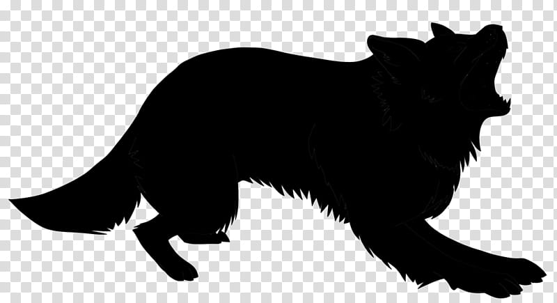 Dog And Cat, Schipperke, Whiskers, RED Fox, Snout, Breed, Silhouette, Groupm transparent background PNG clipart