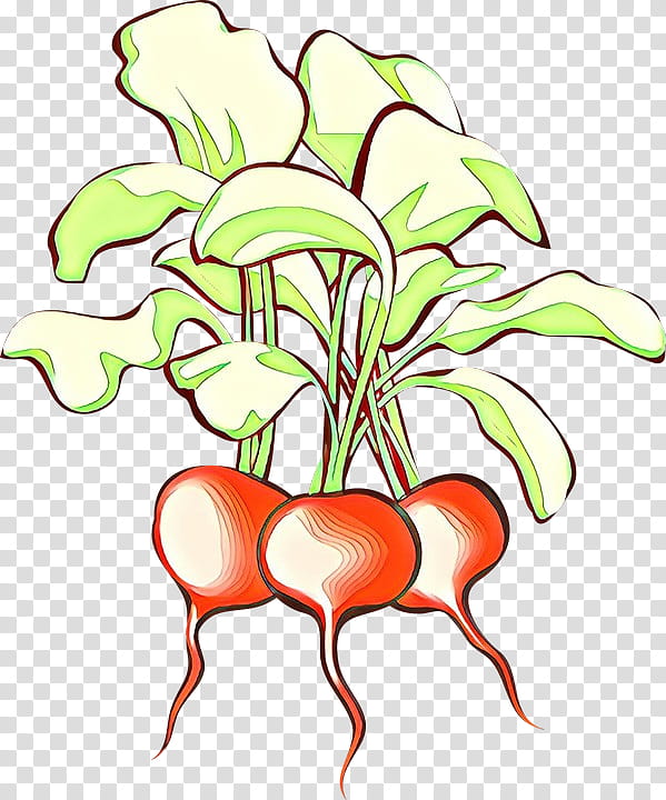 Flower Line Art, Cartoon, Turnip, Radish, Vegetable, Drawing, Floral Design, Leaf transparent background PNG clipart