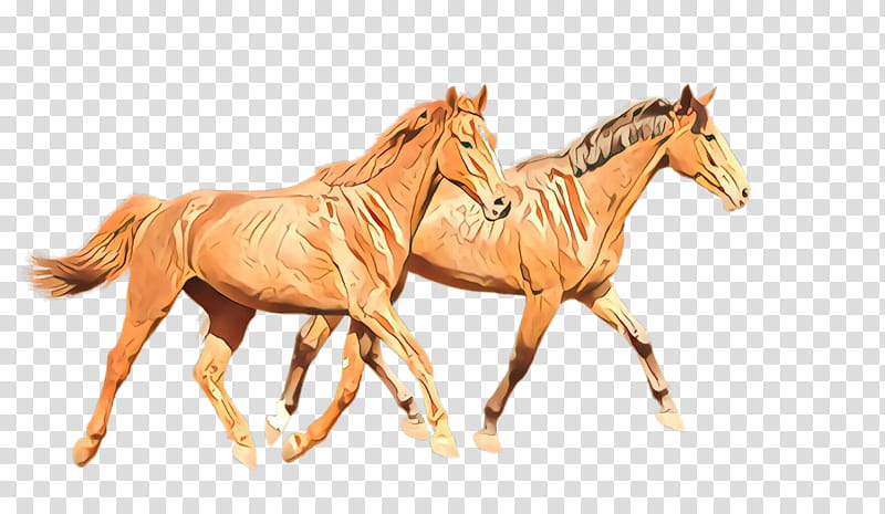 horse animal figure sorrel mane mare, Stallion, Horse Supplies, Foal, Wildlife, Liver, Drawing, Rein transparent background PNG clipart