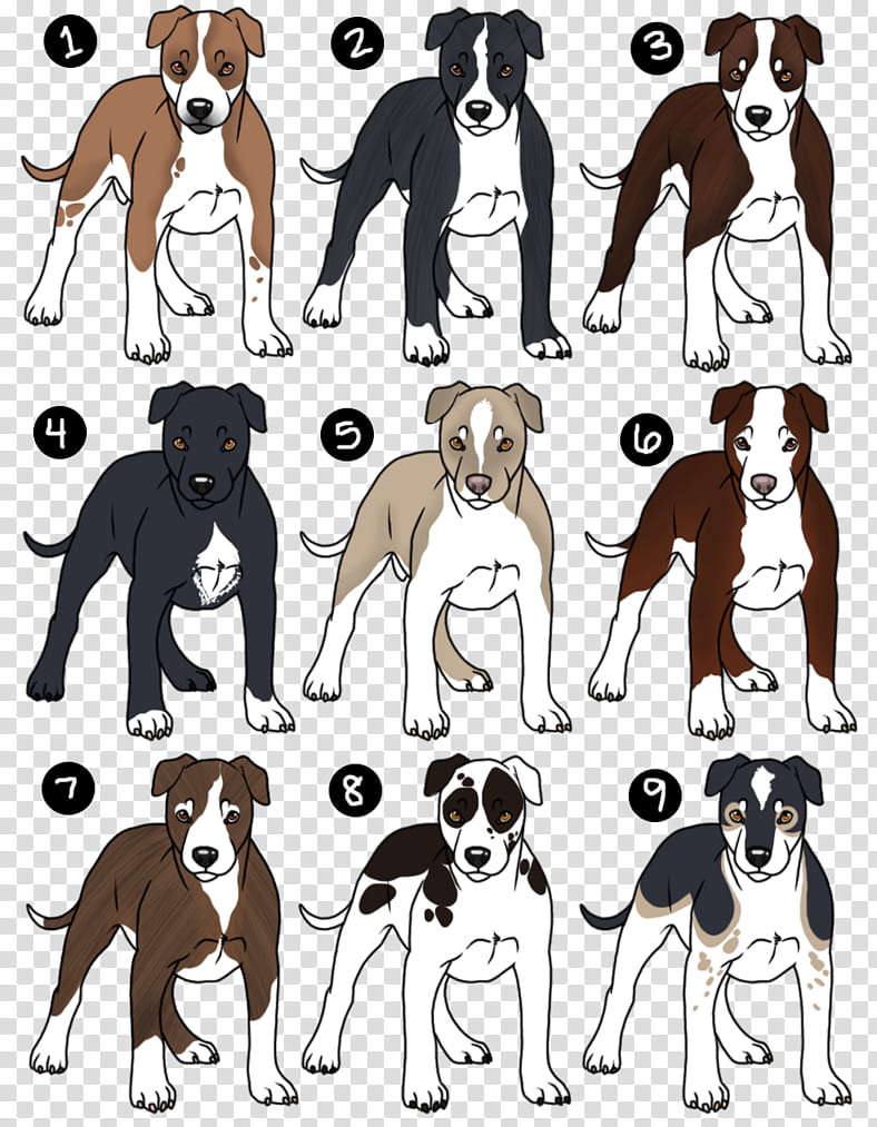 Pitbull Adoptables! CLOSED transparent background PNG clipart