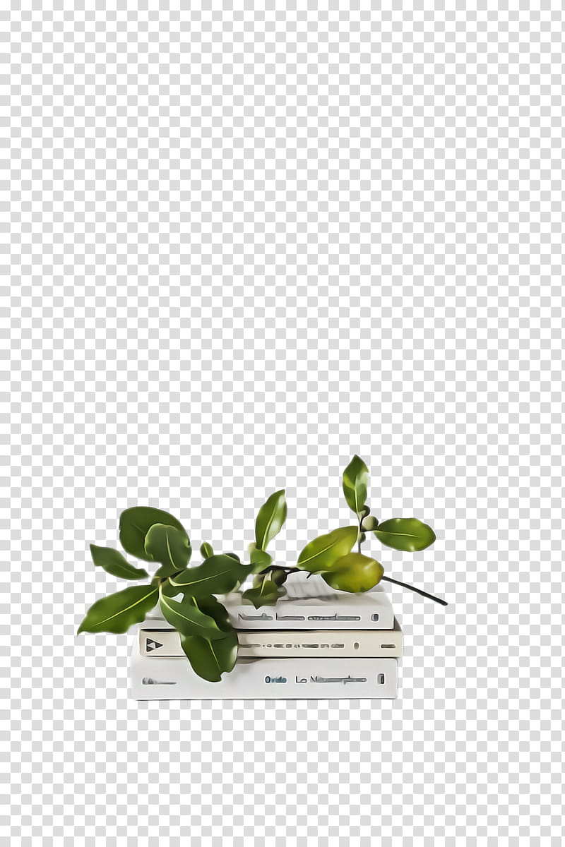 flower plant leaf basil herb, Fines Herbes, Flowerpot, Oregano transparent background PNG clipart