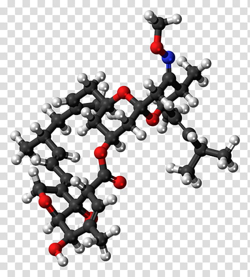 Cat, Worm, Moxidectin, Anthelmintic, Milbemycin, Molecule, Ballandstick Model, Heartworm transparent background PNG clipart