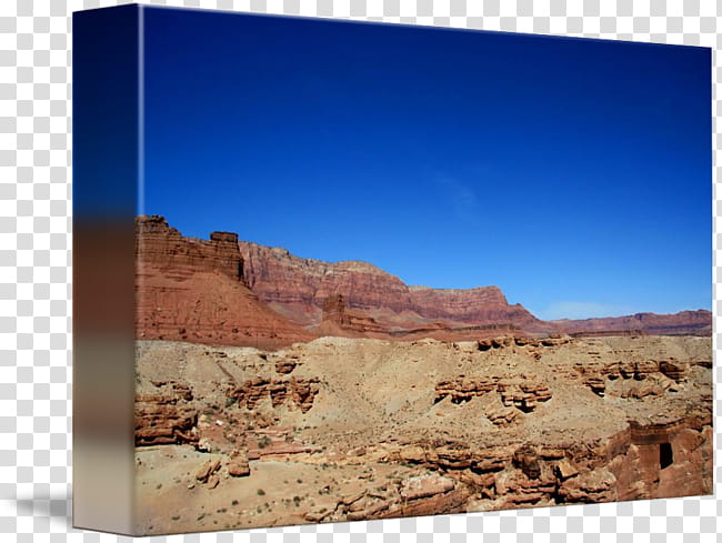Sky, Desert, Arizona, Sonoran Desert, Saguaro, Wadi, Landscape, Web Design transparent background PNG clipart