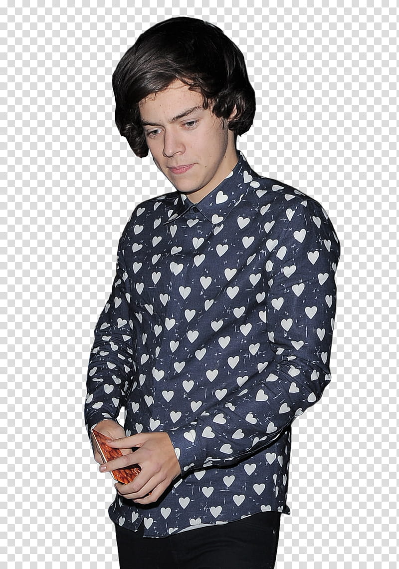 Harry Styles transparent background PNG clipart | HiClipart