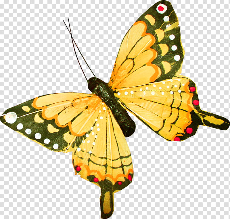 Monarch Butterfly Drawing, Insect, Brushfooted Butterflies, Moth, Lepidoptera, Moths And Butterflies, Cynthia Subgenus, Pollinator transparent background PNG clipart
