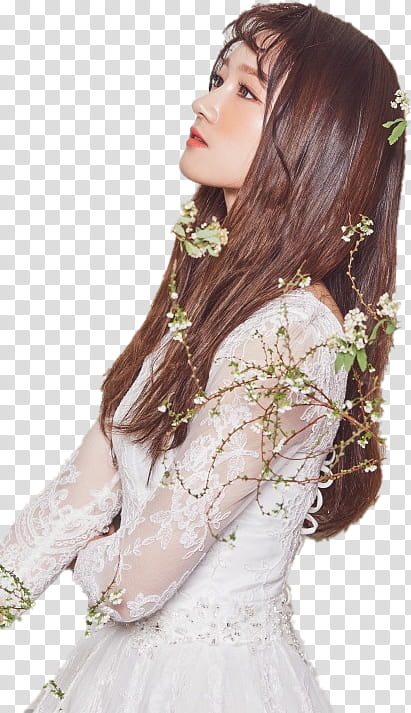 DreamCatcher Siyeon transparent background PNG clipart