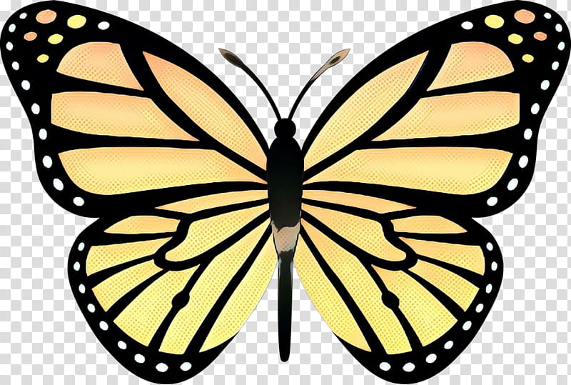 Monarch Butterfly Drawing, Cartoon, Cabbage White, Butterflies, Large White, Lepidoptera, Pieris, Moths And Butterflies transparent background PNG clipart