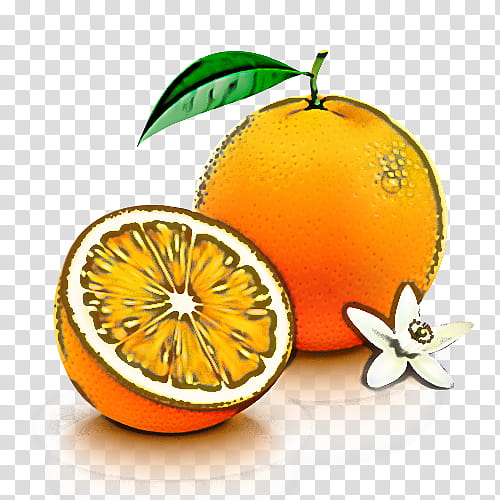 Orange, Fruit, Citrus, Grapefruit, Mandarin Orange, Tangerine, Valencia Orange, Bitter Orange transparent background PNG clipart
