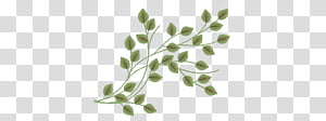 Resources transparent background PNG clipart thumbnail