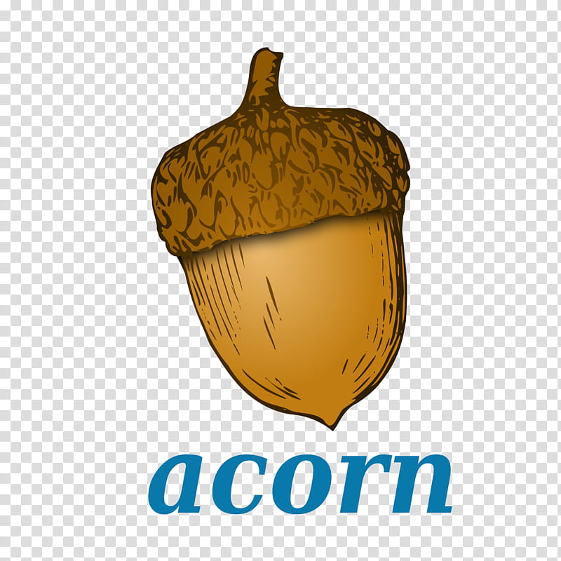 Drawing Tree, Acorn, Acorn Squash, Nut, Logo, Plant, Vegetable, Food transparent background PNG clipart