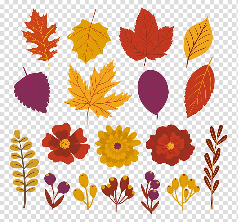 assorted-shape-and-color leaves and petals illustrations transparent background PNG clipart