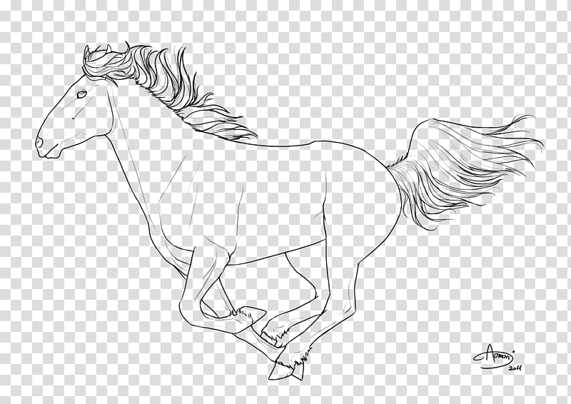 Free lineart  galloping, black horse sketch transparent background PNG clipart