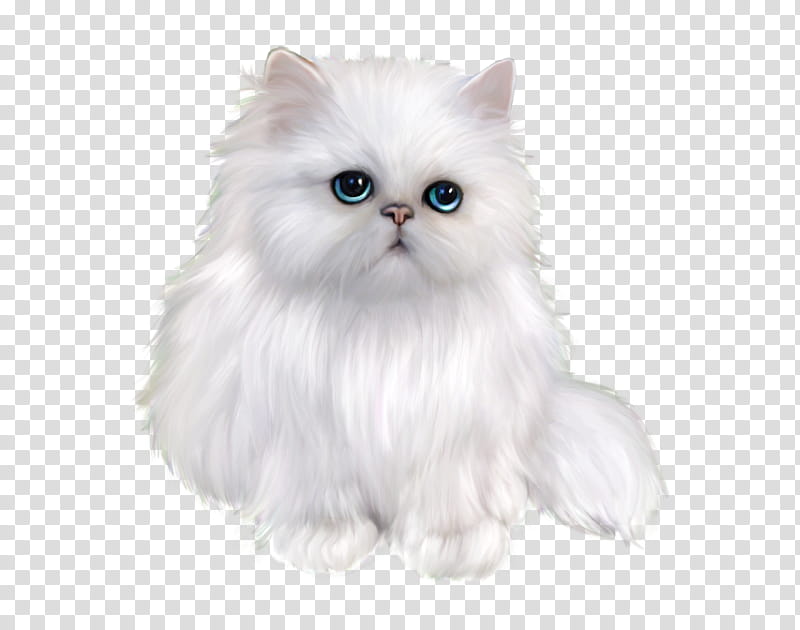Kitten, Persian Cat, Himalayan Cat, Ragdoll, Domestic Longhaired Cat, Scottish Fold, White Cat, Black Cat transparent background PNG clipart
