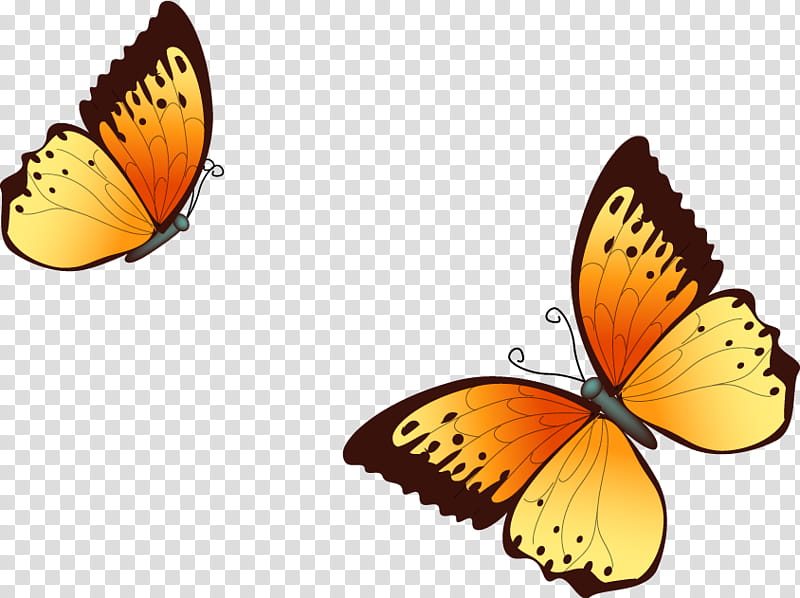 two red-yellow-and-black butterflies art transparent background PNG clipart