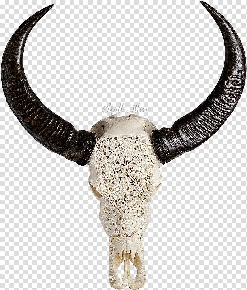 horn antelope cow-goat family antler skull, Cowgoat Family, Waterbuck, Bull, Animal Figure, Bovine transparent background PNG clipart