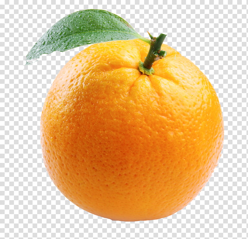 Lemon, Orange, Fruit, Natural Foods, Clementine, Valencia Orange, Citrus, Tangerine transparent background PNG clipart