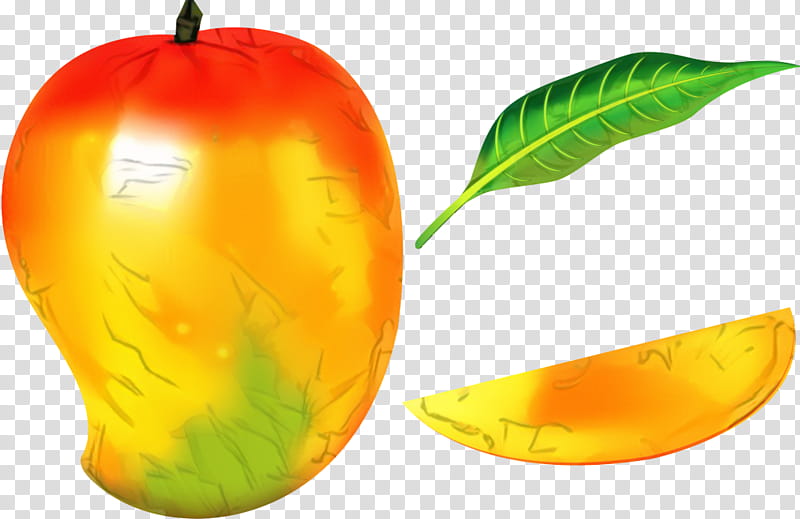 Watercolor Sketch, Drawing, Mango, Fruit, Apple, Painting, Watercolor Painting, Mr Sketch transparent background PNG clipart