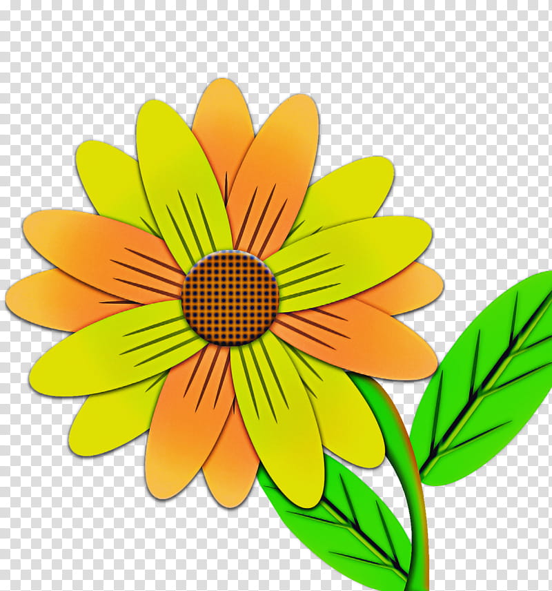 Orange, Yellow, Flower, Petal, English Marigold, Plant, Blackeyed Susan, Leaf transparent background PNG clipart