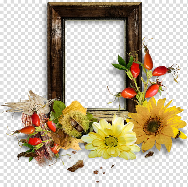 Background Design Autumn Frame, Floral Design, Cut Flowers, Flower Bouquet, Frames, Transvaal Daisy, Floristry, Plant transparent background PNG clipart