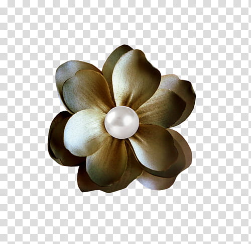 white pearl with yellow flower transparent background PNG clipart