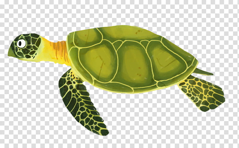 Sea Turtle, Loggerhead Sea Turtle, Reptile, Pond Turtles, Cartoon, Tortoise, Animal, Drawing transparent background PNG clipart