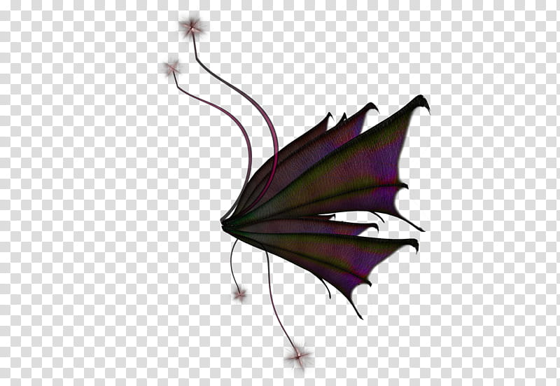 Wings Fairy FireFly, black and green wings transparent background PNG clipart