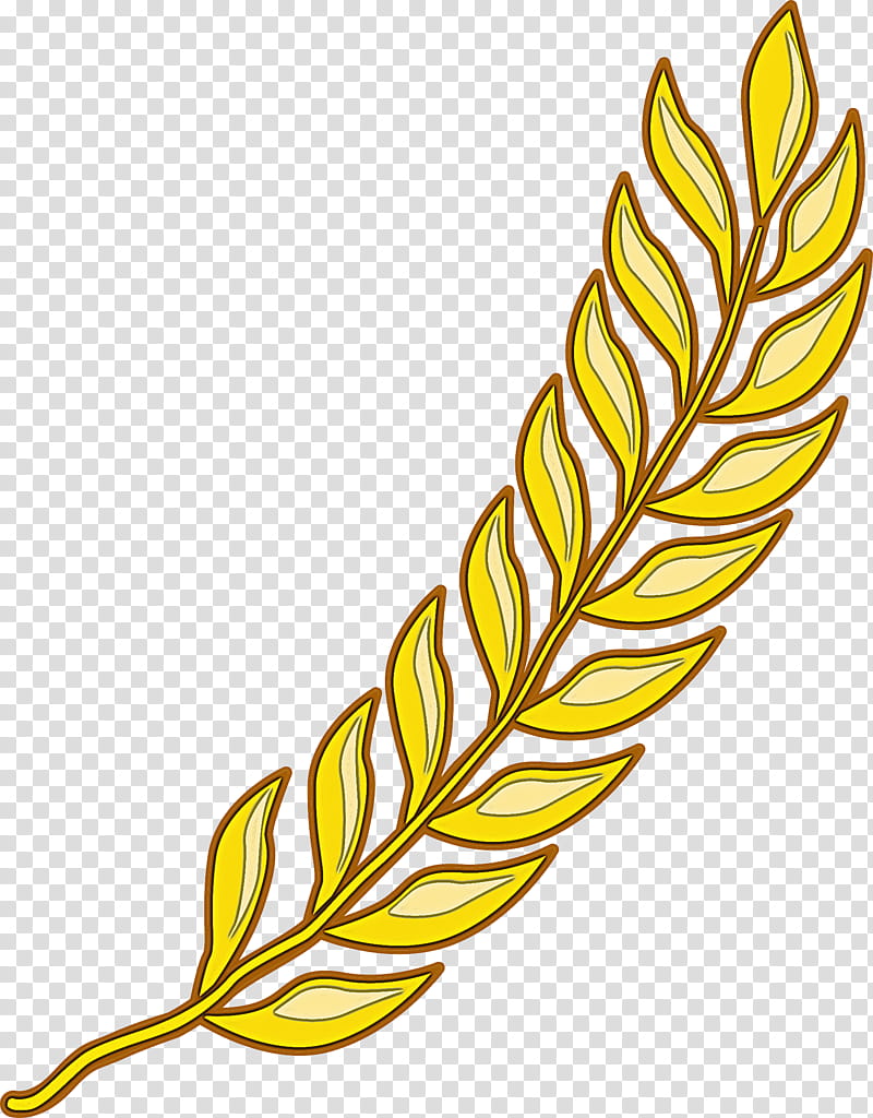 Feather, Yellow, Plant, Grass Family, Leaf, Quill, Elymus Repens transparent background PNG clipart