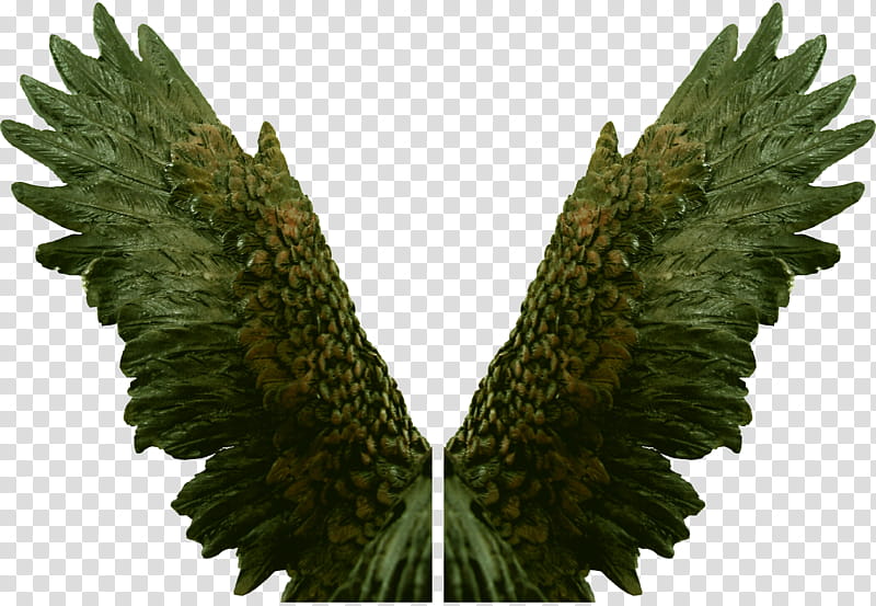 Eagle Angel Wings Zip , brown eagle wings illustration transparent background PNG clipart