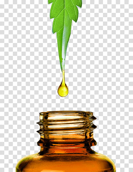 Cannabis Leaf, Cannabidiol, Hemp, Cannabinoid, Extract, Hemp Oil, Psychoactive Drug, Hash Oil transparent background PNG clipart