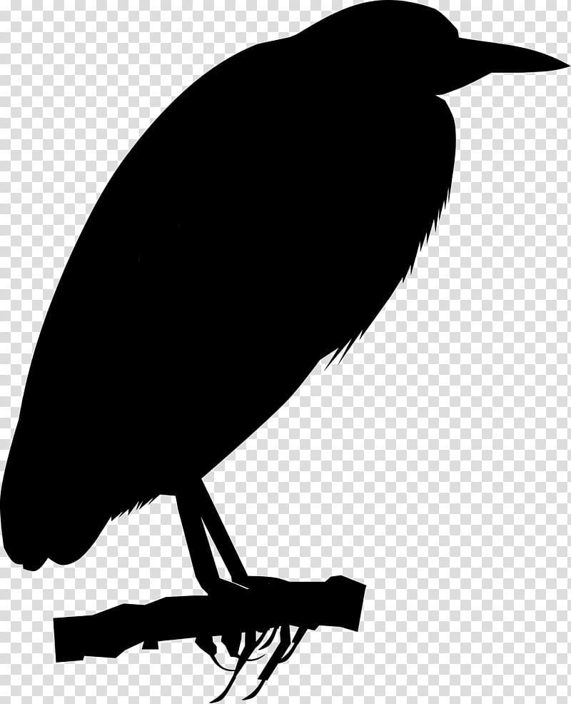 Bird Silhouette, American Crow, New Caledonian Crow, Rook, Common Raven, Beak, Blackbird, Fish Crow transparent background PNG clipart