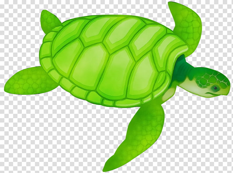 sea turtle green green sea turtle turtle tortoise, Watercolor, Paint, Wet Ink, Reptile, Kemps Ridley Sea Turtle, Pond Turtle, Animal Figure transparent background PNG clipart