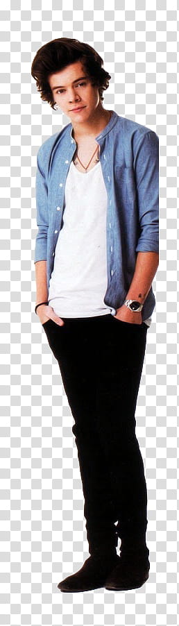 Harry Styles transparent background PNG clipart