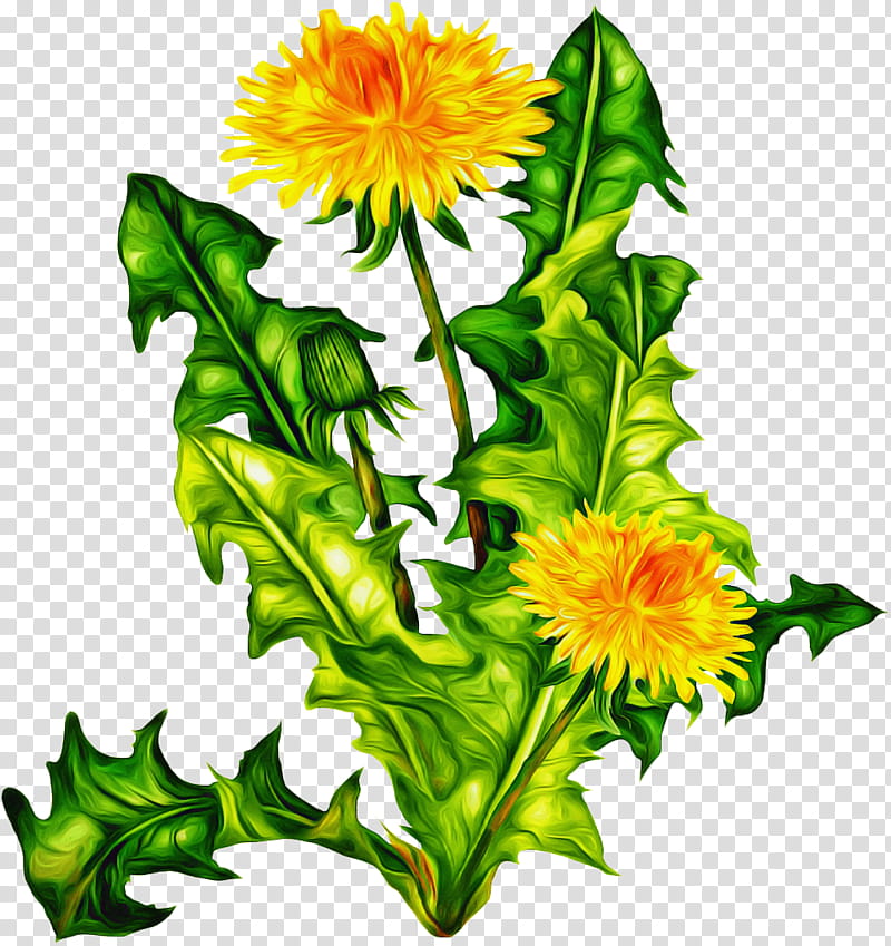Drawing Of Family, Dandelion, , Painting, Desktop , Encapsulated PostScript, Computer Icons, Weed transparent background PNG clipart