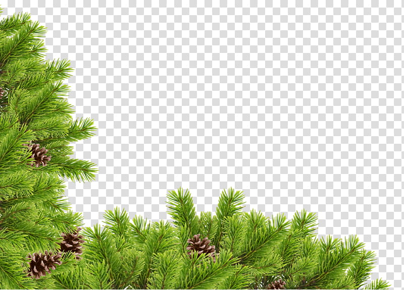 Christmas corners, Pinecone tree illustration transparent background PNG clipart