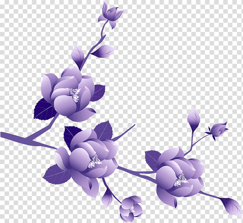 purple-petaled flowers art transparent background PNG clipart