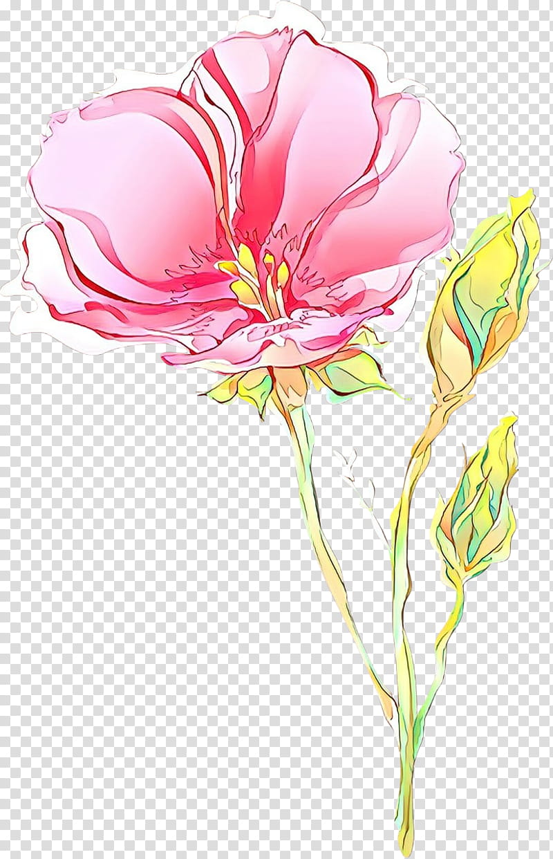 flower petal plant flowering plant pink, Cartoon, Cut Flowers, Plant Stem, Tulip transparent background PNG clipart