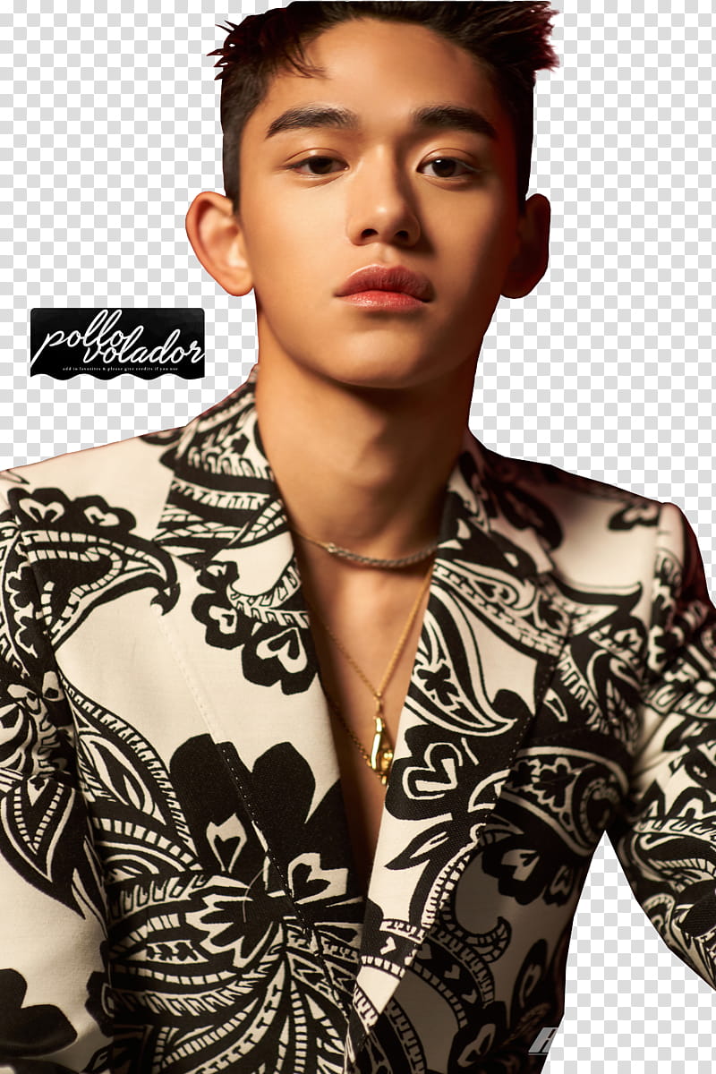 Lucas NCT WayV Regular transparent background PNG clipart