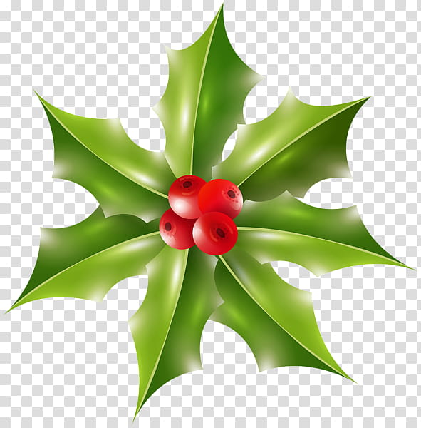 Christmas Decoration, Christmas Day, Common Holly, Holiday, Wreath, Flower, Plant, Leaf transparent background PNG clipart
