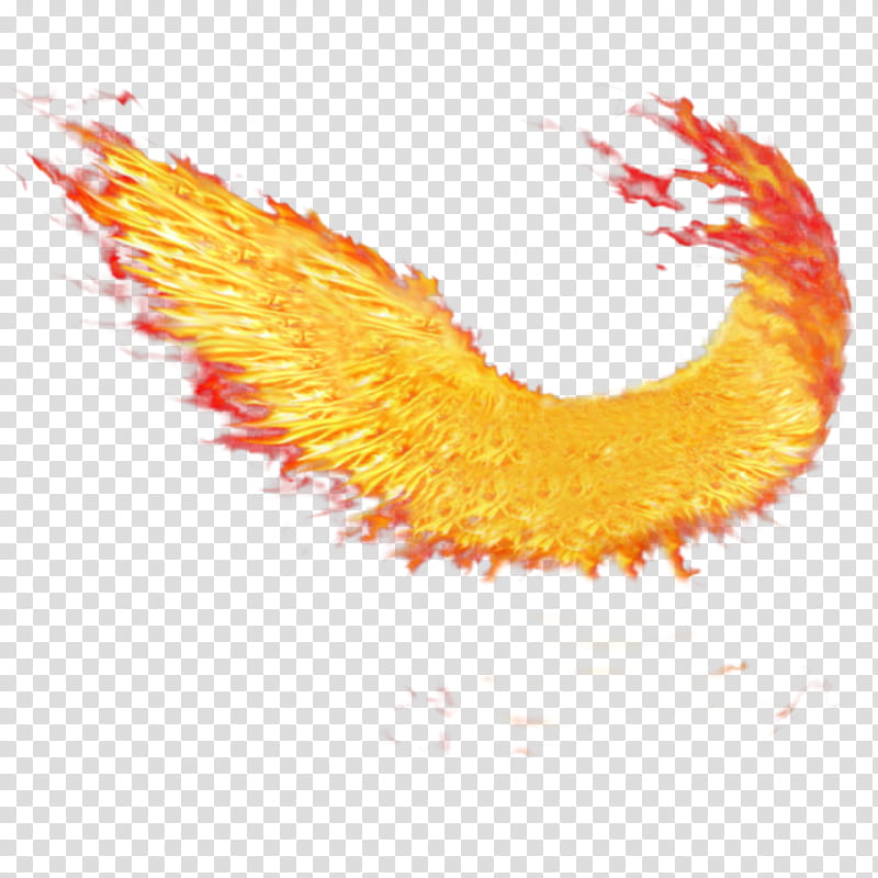 Wings of Fire, Flame, Buffalo Wing, Drawing, Fire Wings, Dragon, Orange, Yellow transparent background PNG clipart