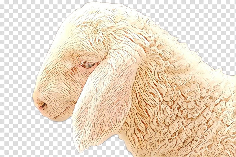 Eid Al Adha Islamic, Eid Mubarak, Sheep, Muslim, Dog, Goat, Breed, Crossbreed transparent background PNG clipart