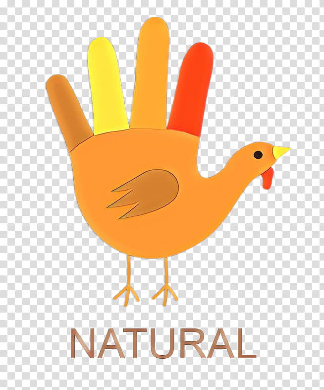 Thanksgiving Turkey Logo, Cartoon, Turkey Meat, Black Turkey, Wild Turkey, Roasted Turkey, Drawing, Food transparent background PNG clipart
